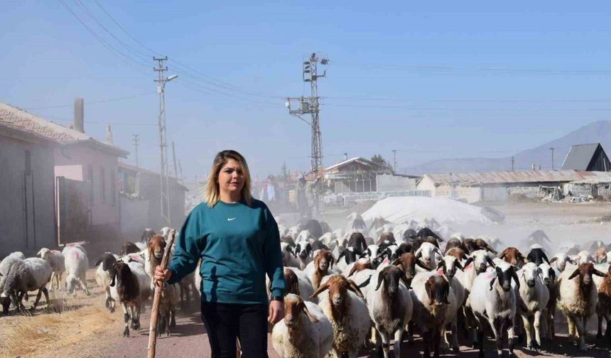 Üniversiteli anne hem koyunlarına hem de kendi kuzusuna bakıyor