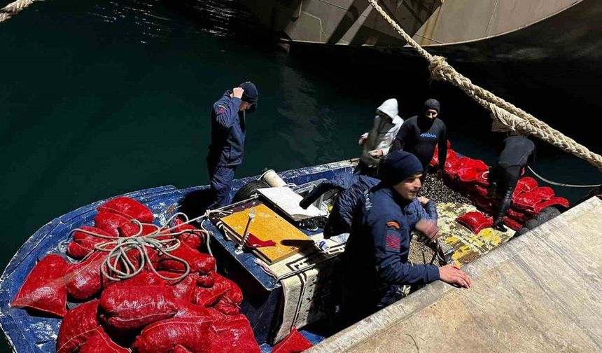 Yalova’da 20 ton kaçak midye ele geçirildi