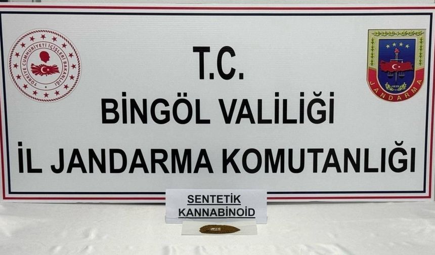 Bingöl’de bonzai ele geçirildi: 4 gözaltı