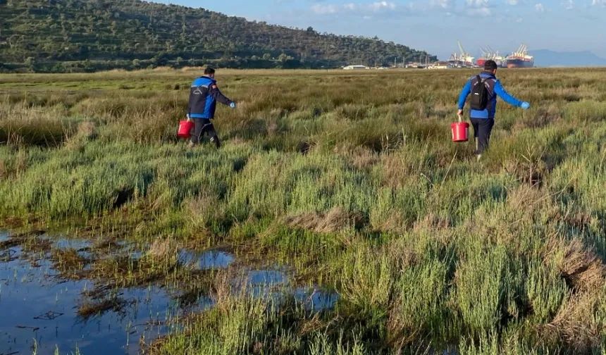 Muğla Büyükşehir'den Güllük'te 60 hektarda ilaçlama