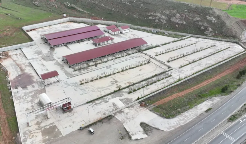 Sivas’ta kurban pazarı Kovalı'ya kuruluyor