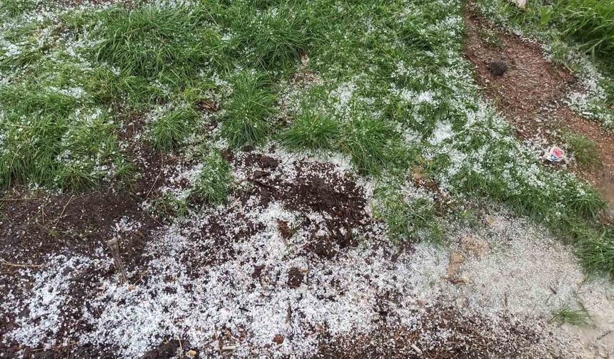 Afşin’de dolu tarım arazilerine zarar verdi