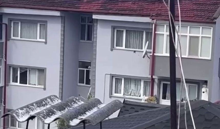 Antene sıkışan karga itfaiye erlerinin yardımıyla özgürlüğüne kavuştu