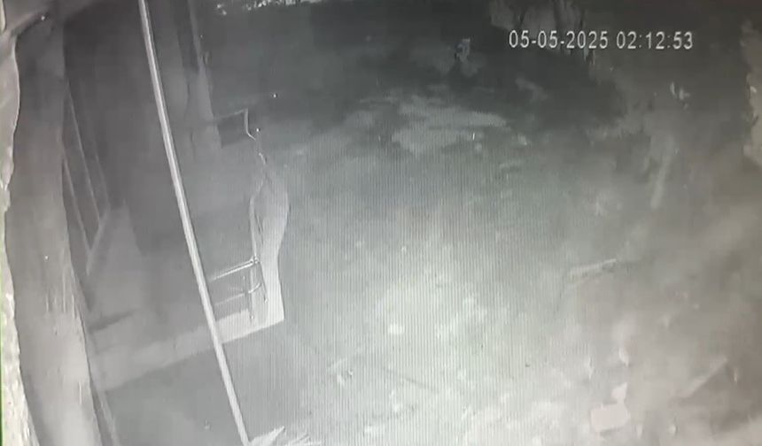 Apartmandaki doğal gaz patlaması saniye saniye kamerada