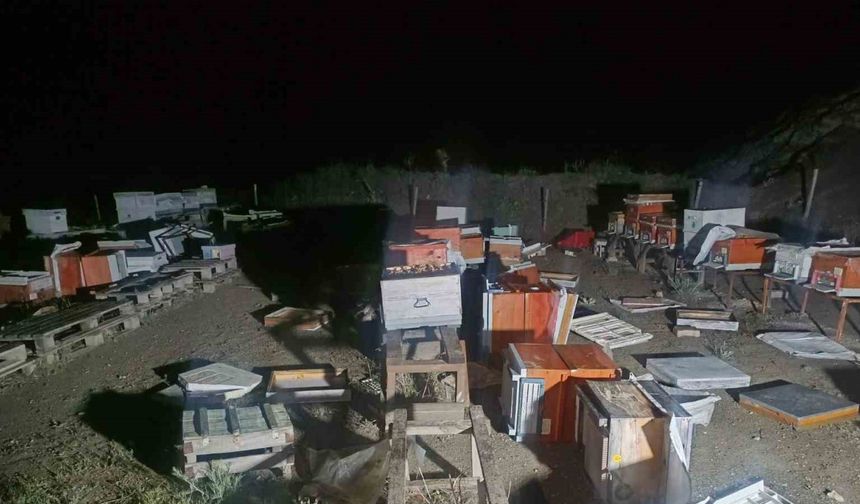 Arı kovanları cayır cayır yandı