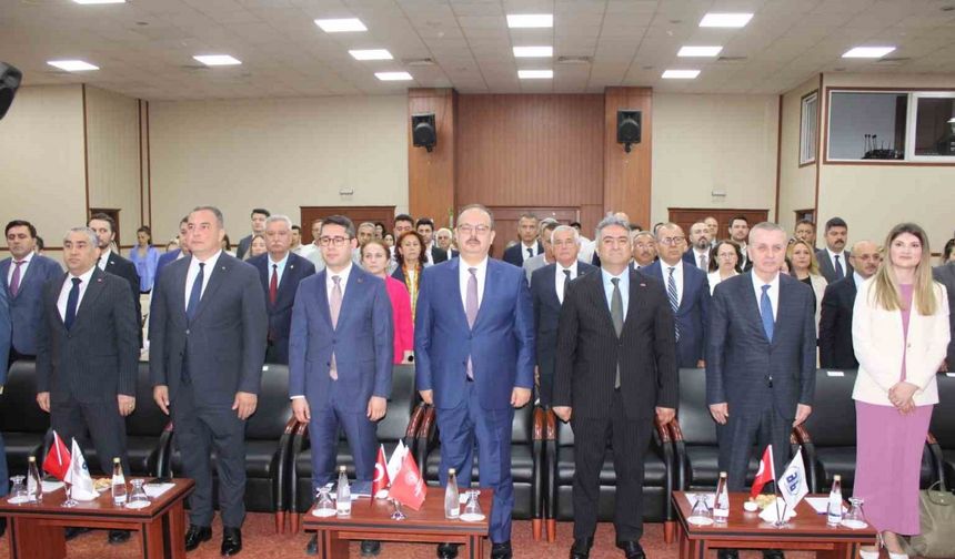 Aydın Memecik Zeytinyağı, dünya markası olacak