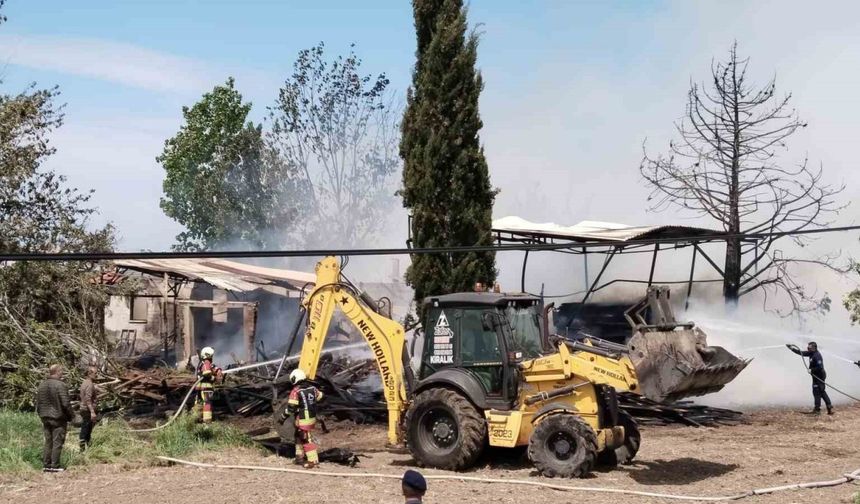 Ayvalık’ta kereste deposunda çıkan yangın güçlükle söndürüldü