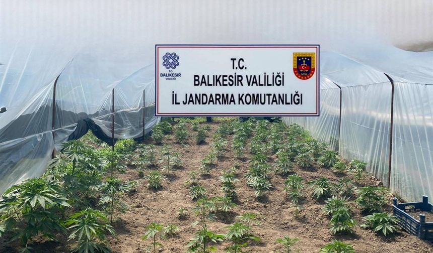 Balıkesir’de jandarmadan organize suçlara karşı geniş çaplı operasyon