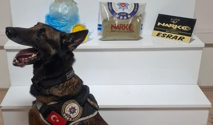 Balıkesir’de uyuşturucu operasyonu