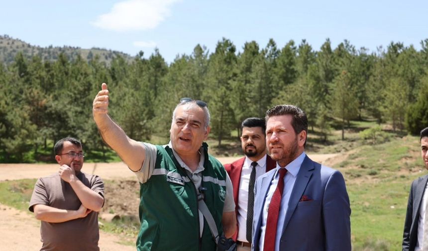 Başkan Tatık, Tavas’ı yayla turizmiyle tanıştırmak için kolları sıvadı