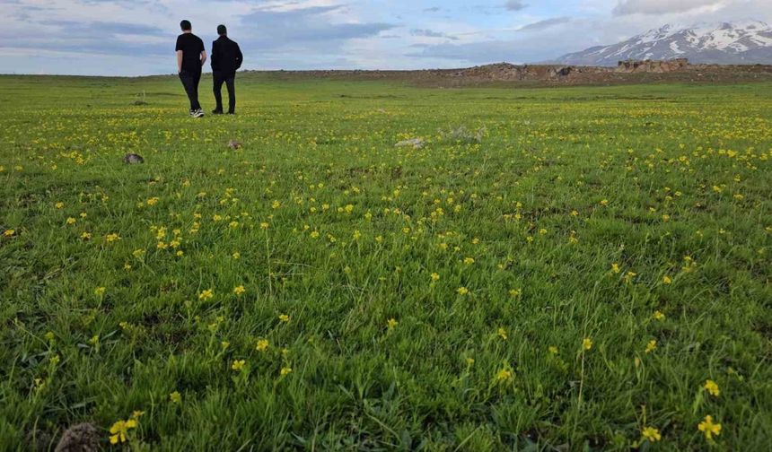 Bitlis’in saklı güzellikleri: Cil Gölü ve Sütey Yaylası