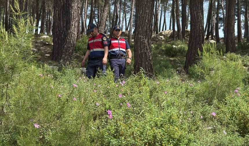 Bodrum’da ormanlara giriş yasaklandı, jandarma termal dronla kuş uçurtmuyor