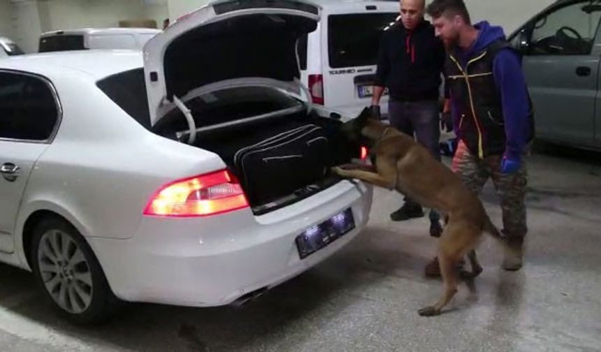 Bolu’da kaçakçılık operasyonunda 4 gözaltı