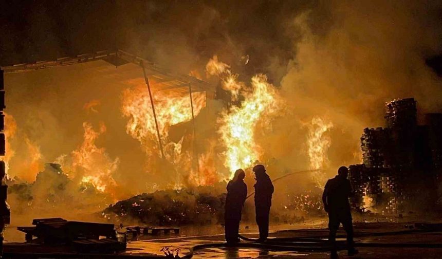 Bursa’da palet fabrikası alevlere teslim oldu