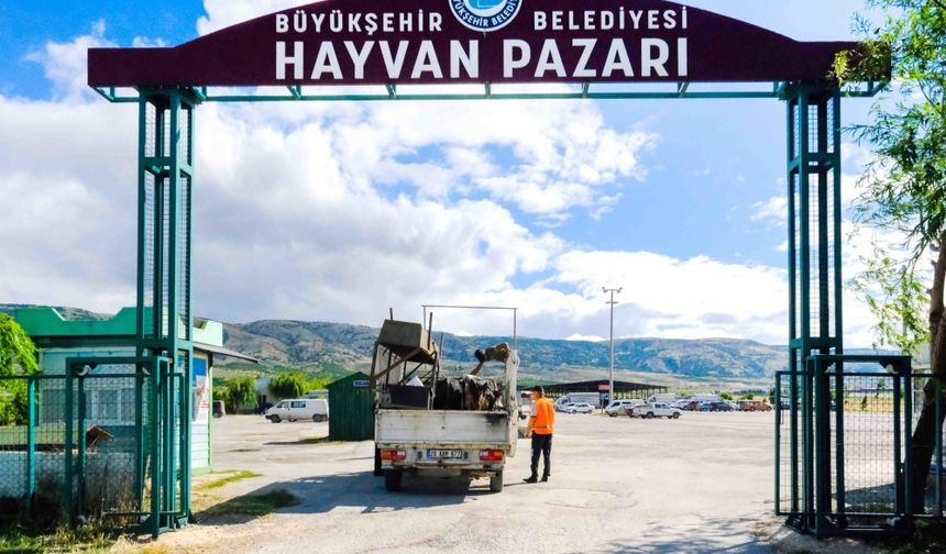 Büyükşehir Hayvan Pazarı için yer satışları başlıyor