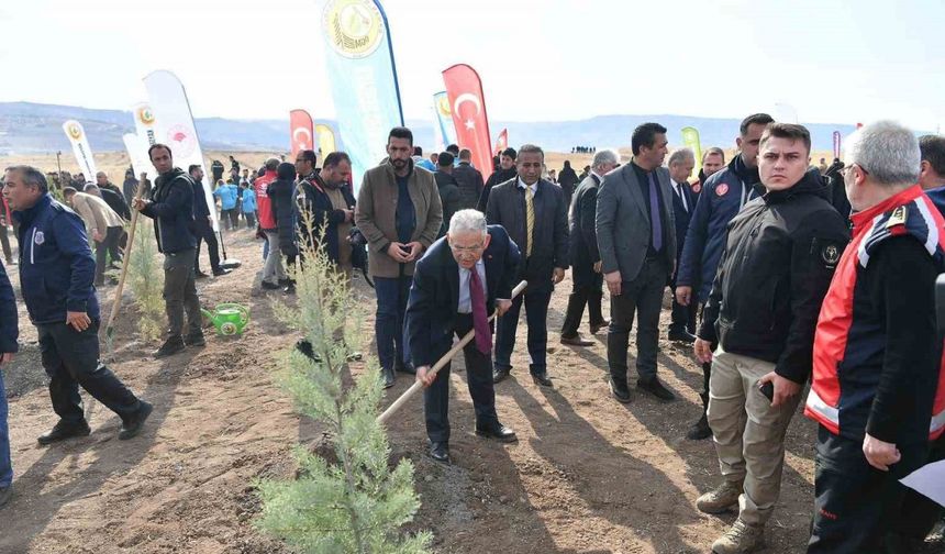 Büyükşehirden 6 yılda 750 bin fidan ile Kayseri’ye ’yeşil’ katkı