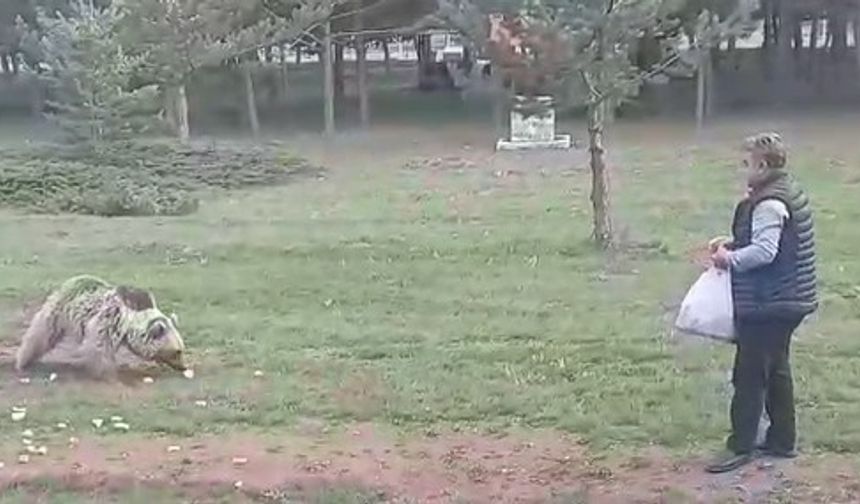 Çemşit ismini verdiği bozayıyı besledi, eşi kayıt altına aldı