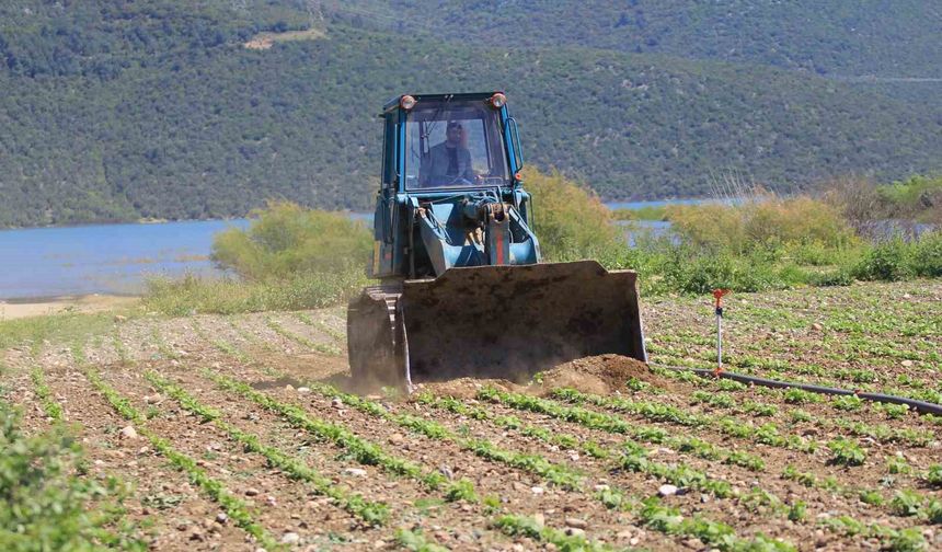 Devlet çiftçiye "ekin" diyor, DSİ ekili alanları düzlüyor