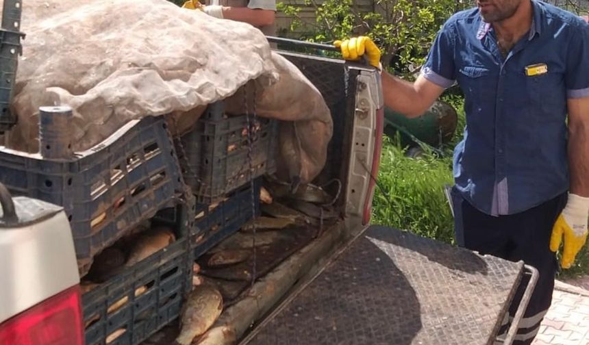 Elazığ’da kaçak avlanan 700 kilogram balık ele geçirildi