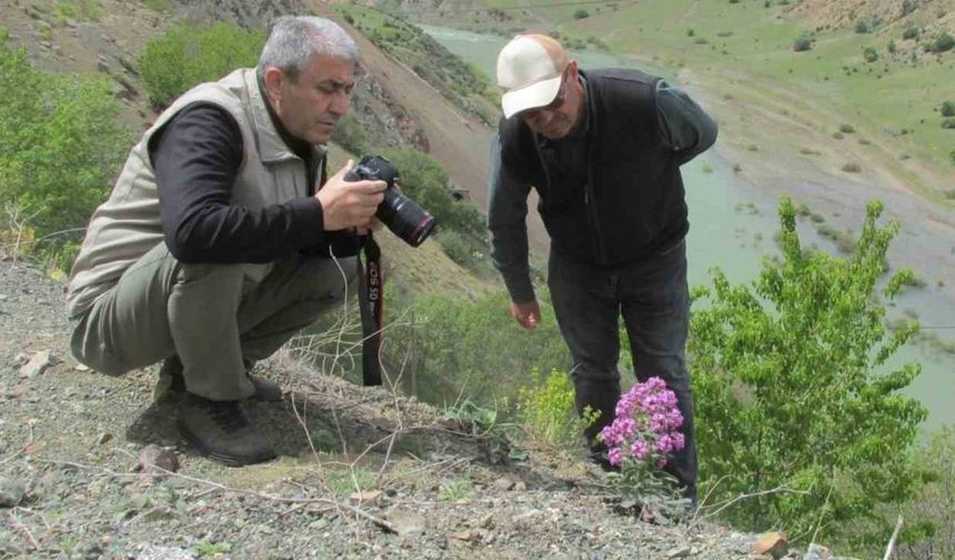 Elazığ’da Ulusal Biyolojik Çeşitlilik ve Envanter İzleme Projesi çalışması