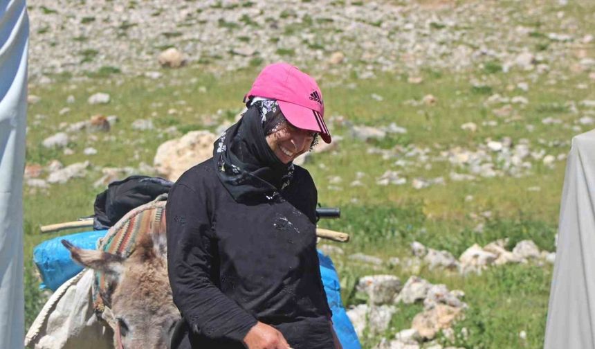 Erzincanlı göçerlerin yayla hayatı