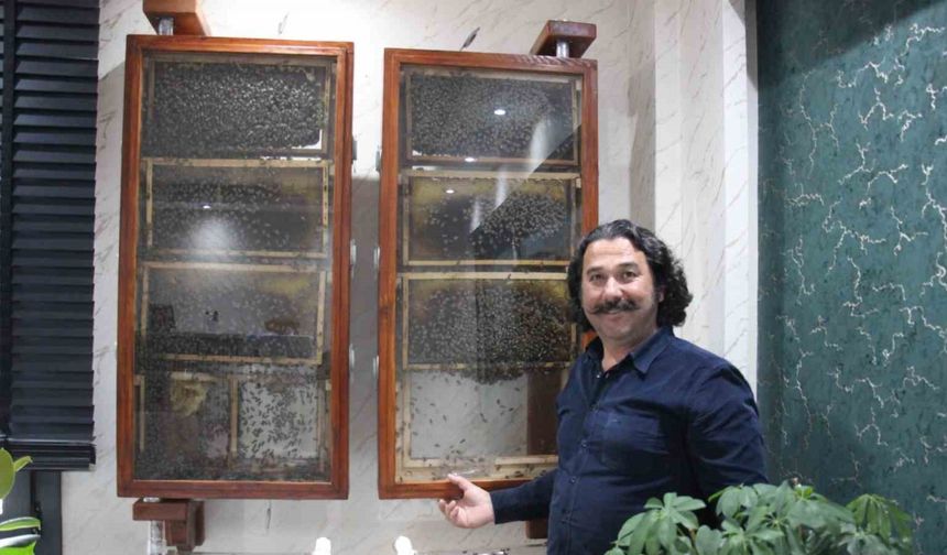 Fabrikasında 5 bin işçi ile ’bal’ gibi çalışıyor