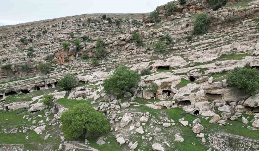 Gabar Dağı etekleri turizme göz kırpıyor