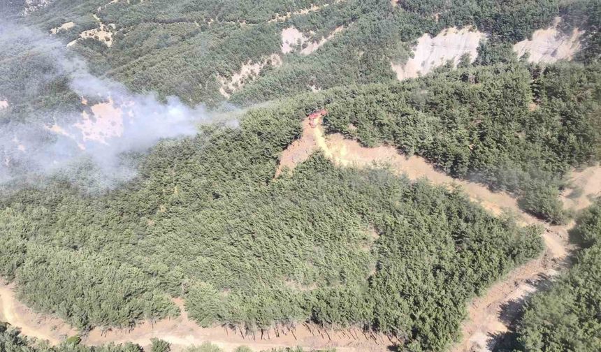 Gökçeada’da orman yangını
