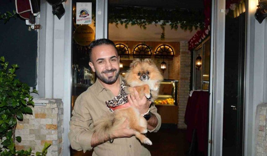 Güzellik yarışmasında birinci seçilen köpek bir hafta sonra ortadan kayboldu