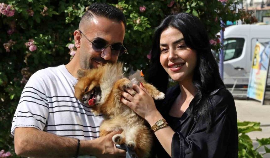 Güzellik yarışmasında birinci seçilip kaybolan köpek bulundu, sahipleri sevince boğuldu