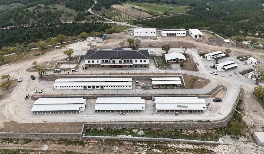 Hayvan Yaşam Merkezi açılıyor