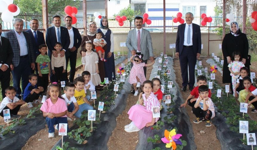 Kahta’da miniklerden çilek hasadı