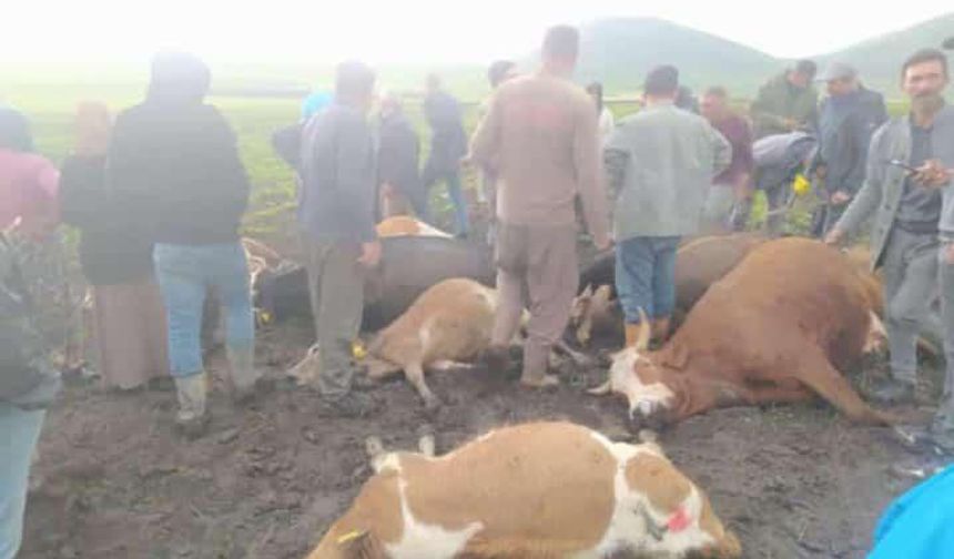 Kars’ta sürünün üzerine yıldırım düştü: 2 çoban yaralandı, 10 hayvan telef oldu