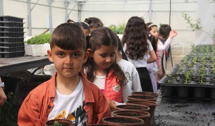 Minik öğrenciler seralarda doğayla buluştu