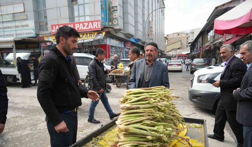 Muş’ta ’yayla muzu’ tezgahlarda yerini aldı