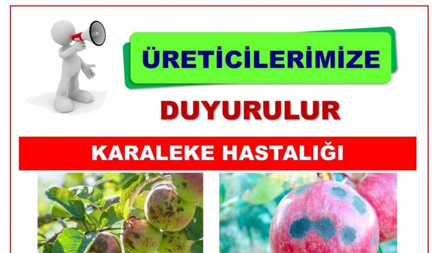 Niğde Tarım İl Müdürlüğü’nden Karaleke Uyarısı: Üreticiler ilaçlama yapmalı