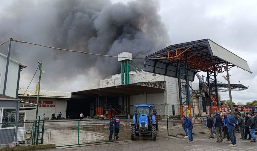Sakarya’da fabrika yangını
