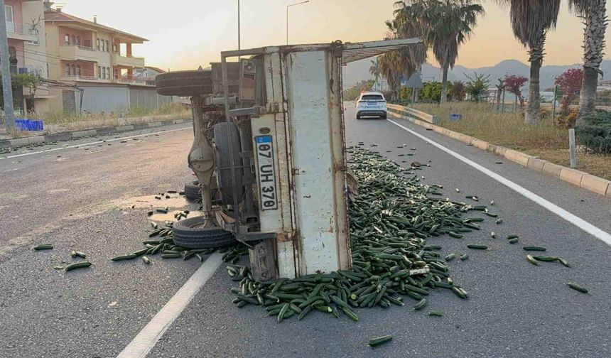 Salatalık yüklü kamyonet devrildi: Salatalıklar yola savruldu