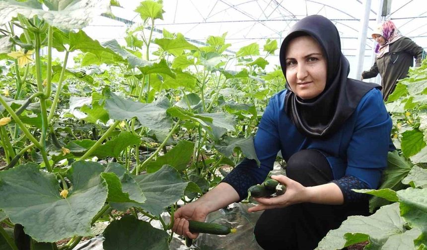Seracı kadınlar günlük 500 kilo ürün alıyor