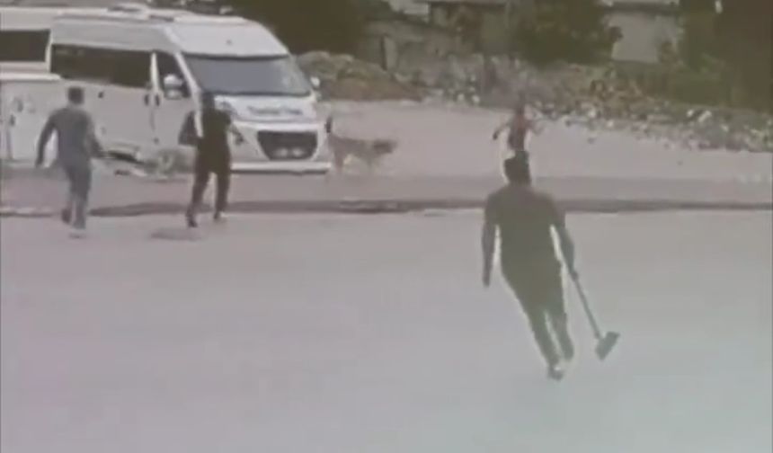 Sokak  köpekleri çocuğa saldırdı