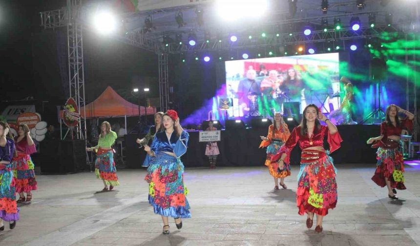 Sultanhisar’da festival, dans şovları ve konser ile başladı