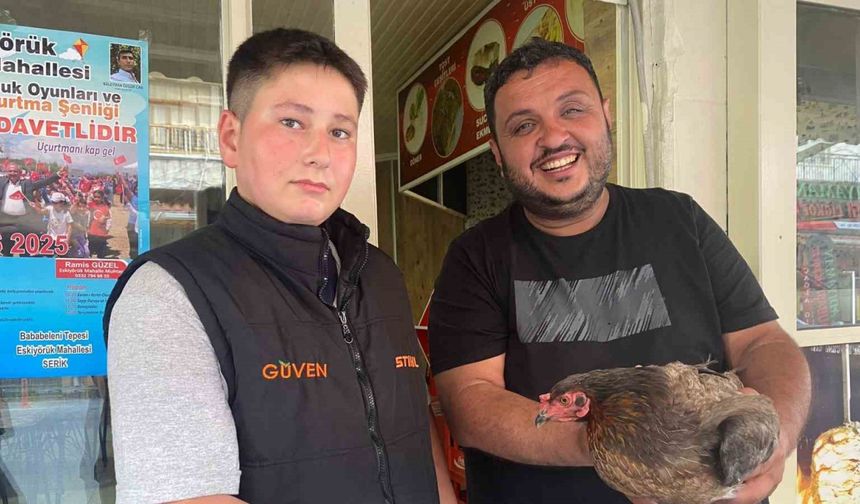 Tavuğun cesareti dönerciyi şaşkına çevirdi: Yumurtlamak için tavuk dönerciyi seçti