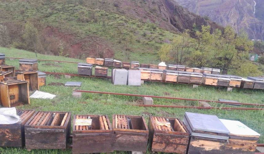 Tunceli Arı Yetiştiricileri Birliği Başkanı Doğan, "Fırtınadan zarar gören arıcılar TARSİM’e başvurmalı"