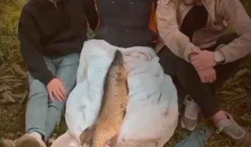 Tuttuğu 14 kiloluk turnayı bebek gibi kucağında salladı