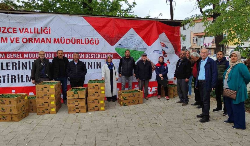 Yüzde 75’i bakanlık destekli fideler çiftçilere dağıtıldı