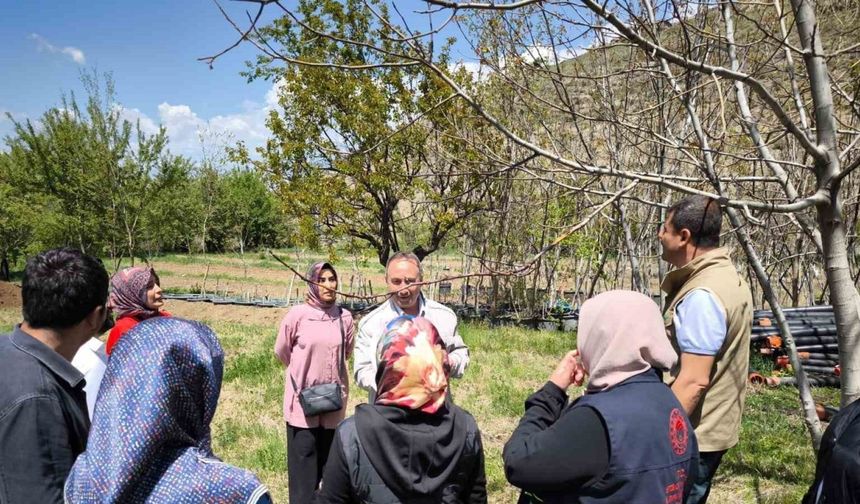 Zirai dona karşı sigorta yaptıran çiftçilerin zararları inceleniyor