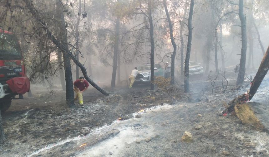 Aliağa ve Foça’da orman yangınında ekiplerin zorlu mücadelesi