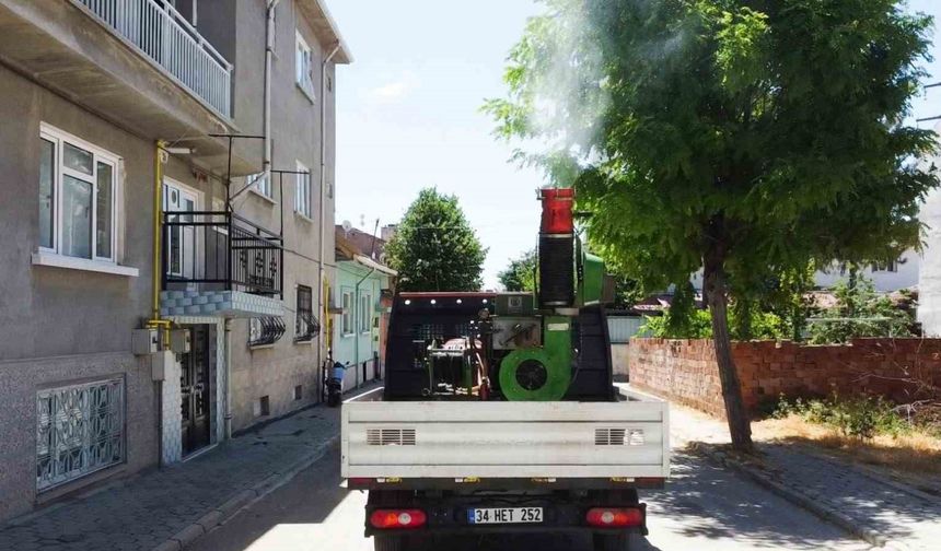 Tepebaşı haşerelere karşı sahada