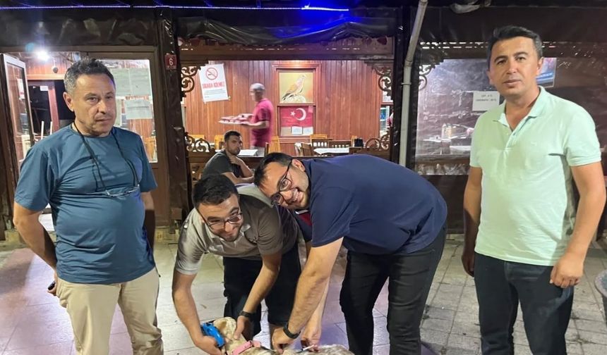 Toplu kuduz aşısı uygulaması avcılar kulübünde gerçekleştirildi