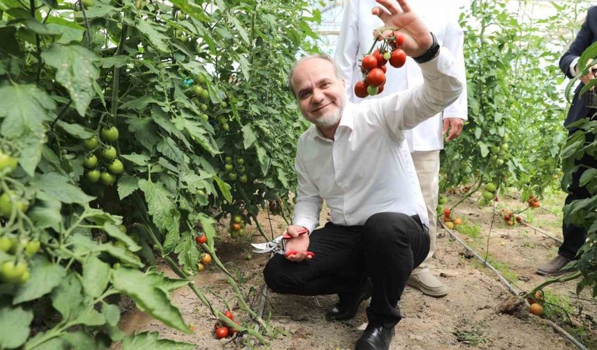 Üreten üniversite NÖHÜ, tarım faaliyetlerine devam ediyor